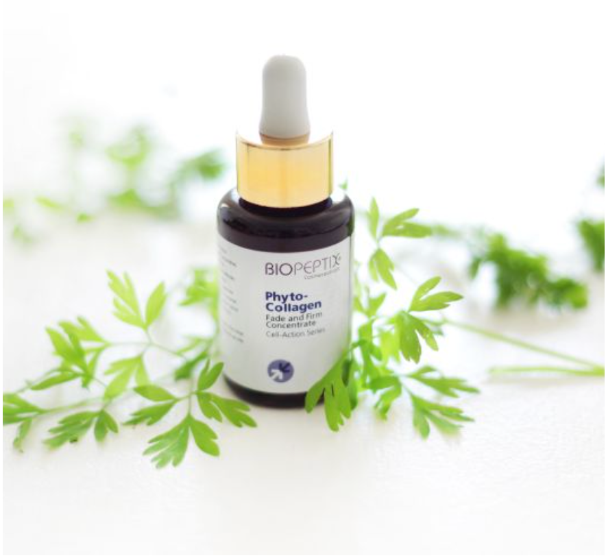 Phyto-Collagen Serum